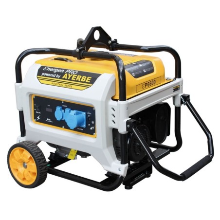 GRUPO ELECTRÓGENO ENER - GEN PRO 6600