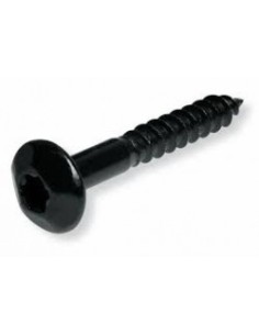 Tornillo Inviolable Torx